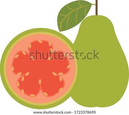 flat design icon illustration of fruit,icon vector