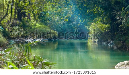 Amazing scenic view tropical forest with jungle river on background Royalty-Free Stock Photo #1723391815