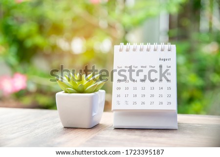 2024 Calendar desk for Planner and organizer to plan and reminder daily appointment, meeting agenda, schedule, timetable, and management. Cactus and calender placed on office table. Work from home