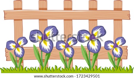 Iris flowers in the garden on white background illustration