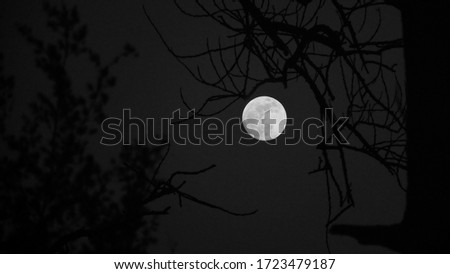 Full moon with bright light