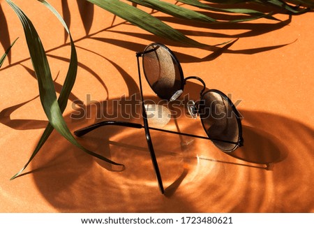 sunglasses and floral palm shadows on orange background top view. Flat lay creative fashion  lifestyle .