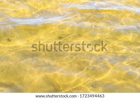 Golden sandy seashore with clear water