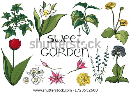 Color garden set with flowers. Vector illustration