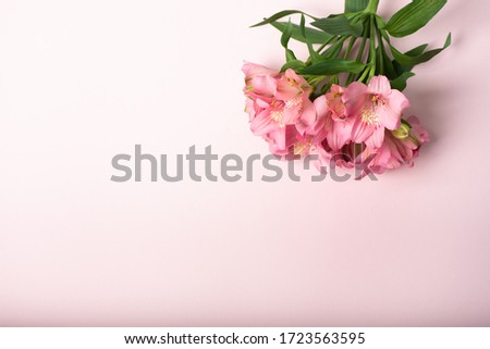 Top view of a pink flower bouquet on a light-pink background. Tender postcard for women, beauty concept  Royalty-Free Stock Photo #1723563595