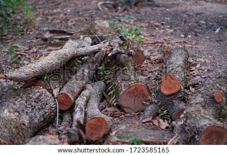 Brown timber and bark dark,Cut pile on the ground.
