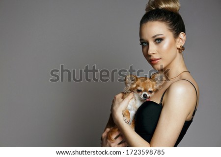 Studio portrait of stylish blonde woman with chihuahua. Model posing on a grey background. Space for text