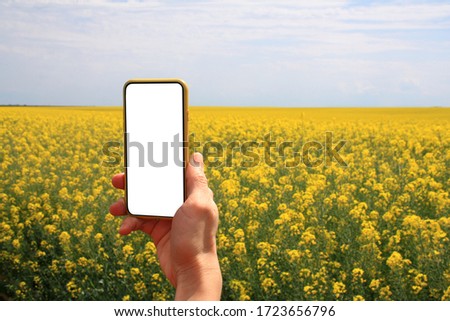 photographing a bright yellow field with a smartphone