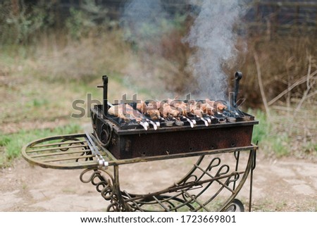 barbecue meat with man heands outdoors 