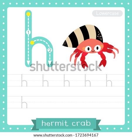 Letter H lowercase cute children colorful zoo and animals ABC alphabet tracing practice worksheet of Colorful Hermit Crab for kids learning English vocabulary and handwriting vector illustration.
