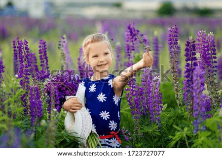 A close-up portrait of a little cute girl with blond hair plays on a flowering lupine field. Childhood concept. Kids and nature.