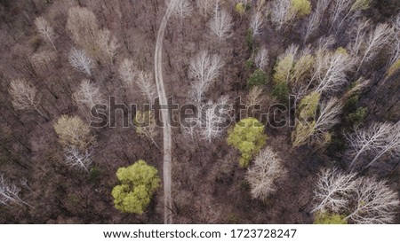aerial veiw of empty rural  road in forest. drone shot. toned picture