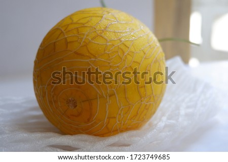 Water droplets on the sweet yellow cantaloupe melon.Fresh summer fruits.