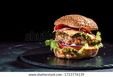 Delicious burger with cheese and vegetables on the dark background