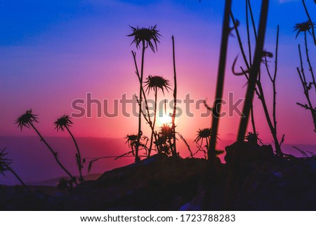 Colorful Sunset Taken with D3100 Royalty-Free Stock Photo #1723788283