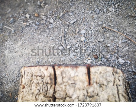 Close​up​ a​ log on​ the​ stone floor Royalty-Free Stock Photo #1723791607
