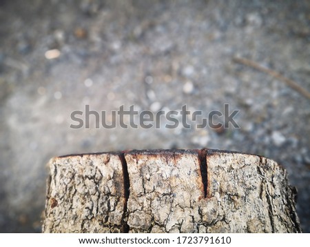 Close​up​ a​ log on​ the​ stone floor Royalty-Free Stock Photo #1723791610