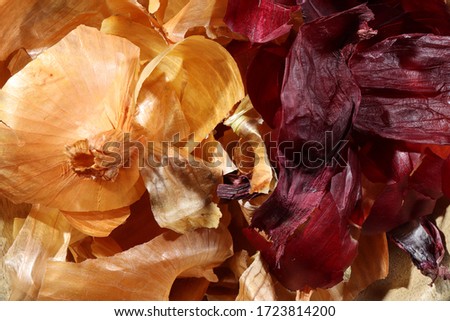 Photography of red and golden onions peelings for food background