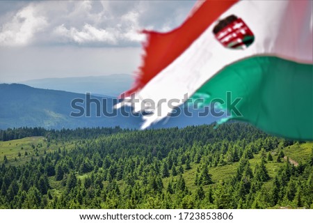 Hungarian flag on Hargita mountain in Romania. Royalty-Free Stock Photo #1723853806