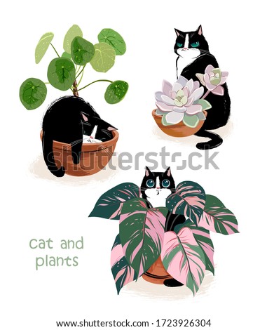 
A collection of cute black cat characters and trendy plants. Three types of indoor flowers in a cache-pot: pilea, succulent and calathea. Cute summer poster or postcard, print for t-shirts or textile Royalty-Free Stock Photo #1723926304