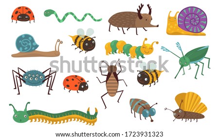 Cartoon insects set. Funny bugs, caterpillar, fly, bee, ladybird, snail, spider, mosquito. Can be used for wildlife, nature, garden, forest concept