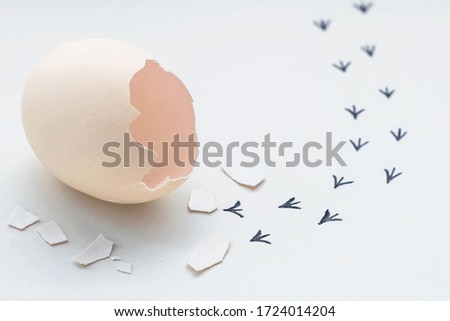 Footprints from an egg shell. First steps of a chick on a white isolated background. Concept of way out of the comfort zone, a new life, progress