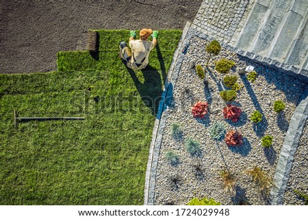 Aerial View Of Male Gardener Laying Rolls Of Sod In Large Area Of Residential Backyard. Royalty-Free Stock Photo #1724029948