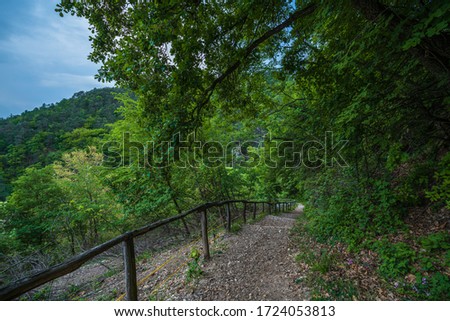 Mountain trail leading through a forest full of spring greenery to three castles in Appiano in Italian South Tyrol.