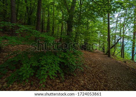 Mountain trail leading through a forest full of spring greenery to three castles in Appiano in Italian South Tyrol.
