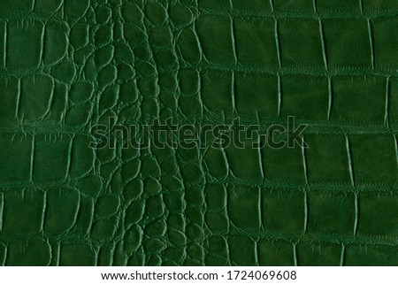 Green alligator or reptile skin of high quality and high resolution. Texture and background of crocodile or alligator dark green skin in square pattern for wallets, purse, bags and interior design.