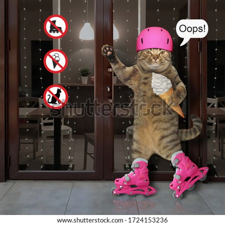 The beige cat in a pink protective helmet with a ice cream cone is skating on rollerblades past a cafeteria with prohibition signs.