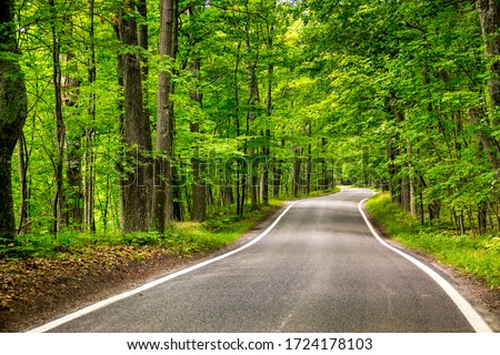 Beautiful tree lined road in the Tunnel of Trees on a drive through Emmet County from Harbor Springs north to Petoskey on highway M-119, Michigan Royalty-Free Stock Photo #1724178103