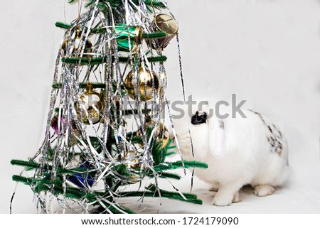 A white rabbit with spots on its back sits next to a plastic Christmas tree. Action on a white background, there is a place for text. Image with selective focus and toning.