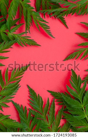 spring background. frame of beautiful carved leaves on the pink background