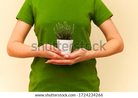 Woman hands holding a green flower in a white little pot on a bright background 