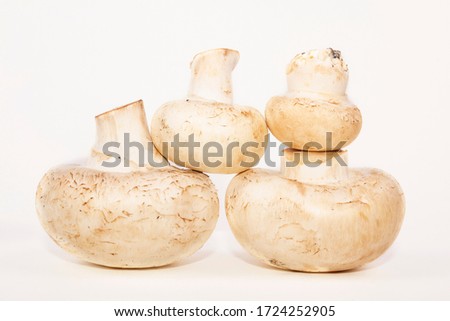 Champignons are laid out in a pyramid. 4 fresh mushrooms. Whole mushrooms, close view. Fresh mushrooms isolated. Ingredients for food. Idea for a blog, cookbook. Stock photo, side view