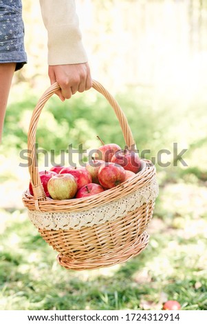Woman holding basket with apples.