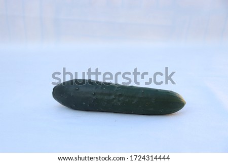 cucumbers. on an isolated white background
