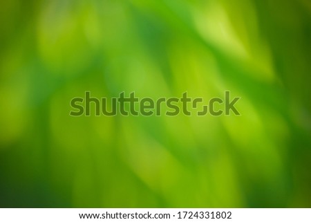 Green blurred texture background from grass