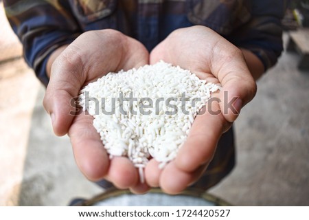 A poor Asian farmer, collects rice in his hands in the morning to eat when he is hungry and he needs help from the world. Take pictures with close-up techniques.

