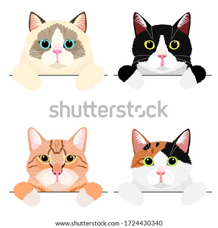 various cute cat banner set Royalty-Free Stock Photo #1724430340