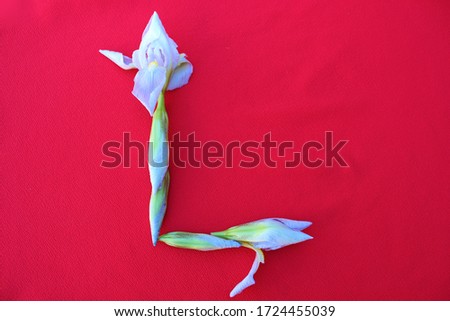 Letter L of iris flowers on a red background. Spring concept. Flat lay. Floral letters of the alphabet for design and decoration. Alphabet made of flowers.