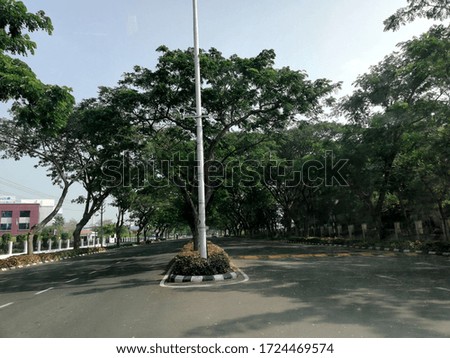 Empty road on a sunny day. Shades of tree are seen on the road. Flag host