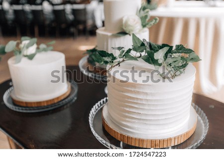 The bride and groom cut a beautiful wedding cake with a knife. Bright background with lights of a wedding party. Three-layer cake with cream, flowers and fruits.
