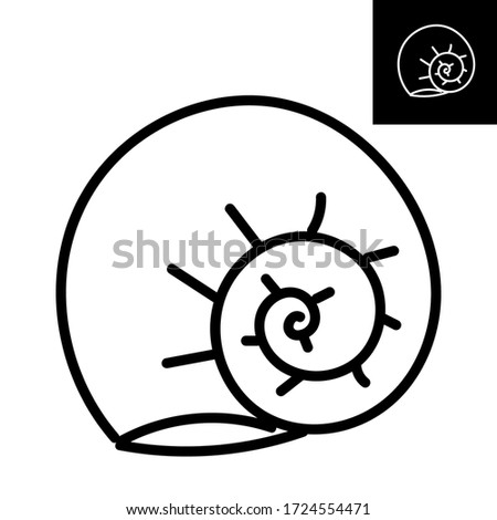 Shell, outline icon on white isolated background for posters, stickers, clip-arts