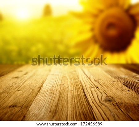 Tuscany sunflowers  background