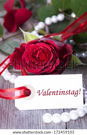 Rosy Background for Valentines Day with white Label with the German Word Valentinstag on it which means Valentines Day