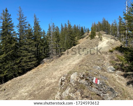 Mountaineering signposts and markings on the hills over the Eigental alpine valley and in central Switzerland, Eigenthal - Canton of Lucerne, Switzerland (Kanton Luzern, Schweiz)