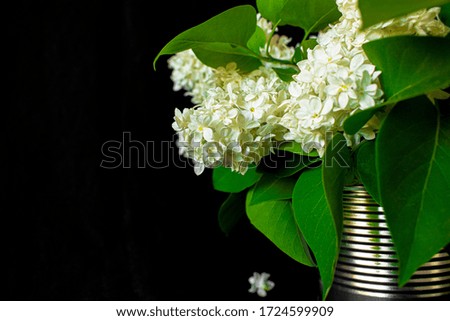 Bouquet of white lilac in a metal vase