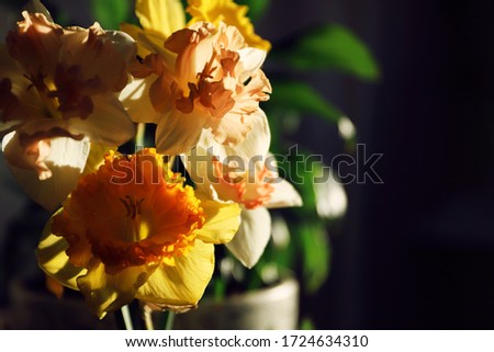 Bouquet of flowers in the sunlight.
